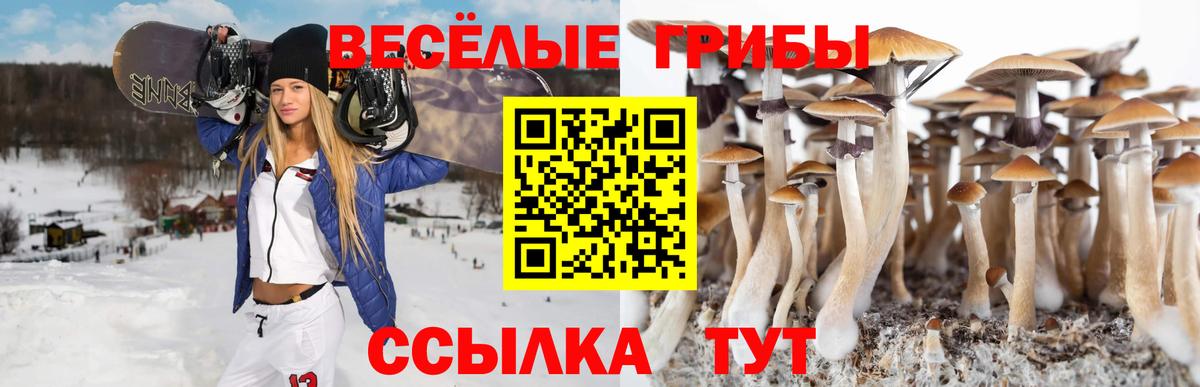 Псилоцибиновые грибы ЛСД  Вход с VPN  Ялуторовск 